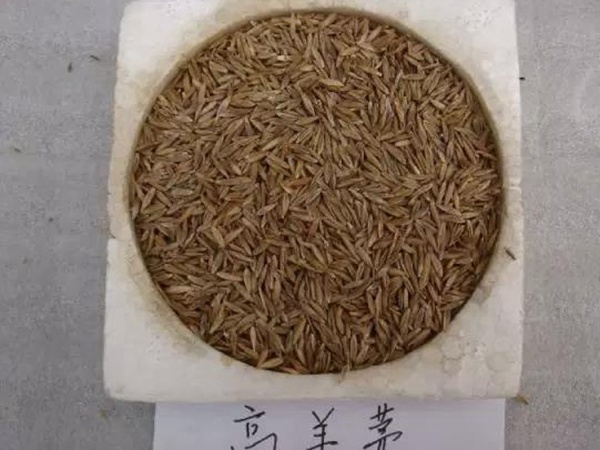 1589359756536982.jpg 微信圖片_20200513164255.jpg