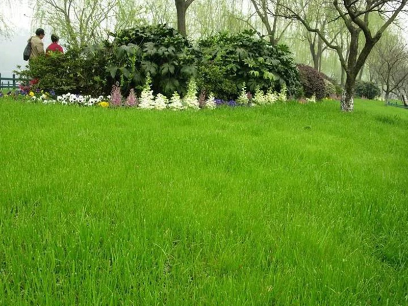 1589416379223857.jpg 微信圖片_20200514083118.jpg