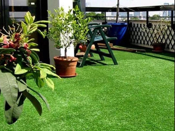 果嶺草管理方法以及播種養(yǎng)護(hù)技術(shù) 果嶺草管理方法以及播種養(yǎng)護(hù)技術(shù)