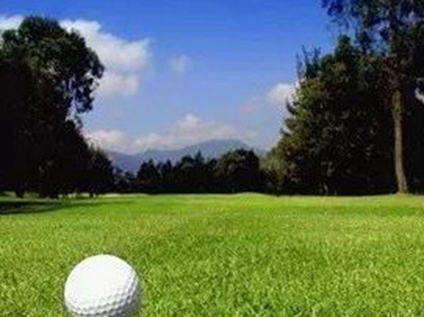 哪里有賣高爾夫球場的草坪種子，哪家種子質(zhì)量有保障？