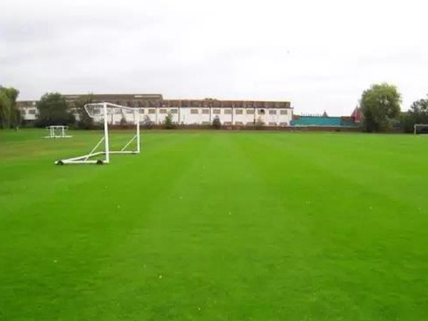 哪里有賣高爾夫球場的草坪種子，哪家種子質(zhì)量有保障？