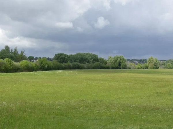 狗牙根品種基本介紹，種植效果