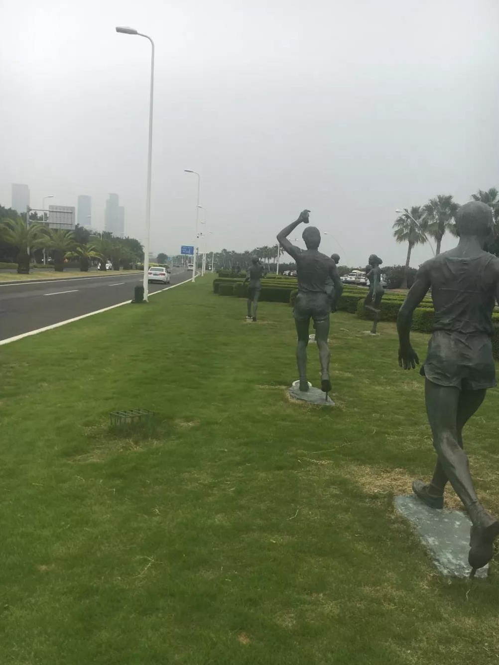 一年生黑麥草秋冬季補(bǔ)播種技術(shù)以及養(yǎng)護(hù)方法