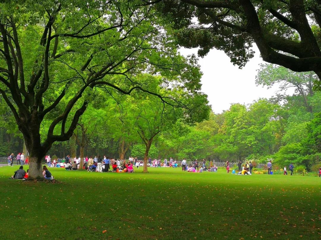 草坪如何才能美如畫(huà)，需要這幾個(gè)步驟