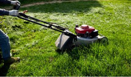 草坪怎么樣修剪才是正確的，什么方法比較好？