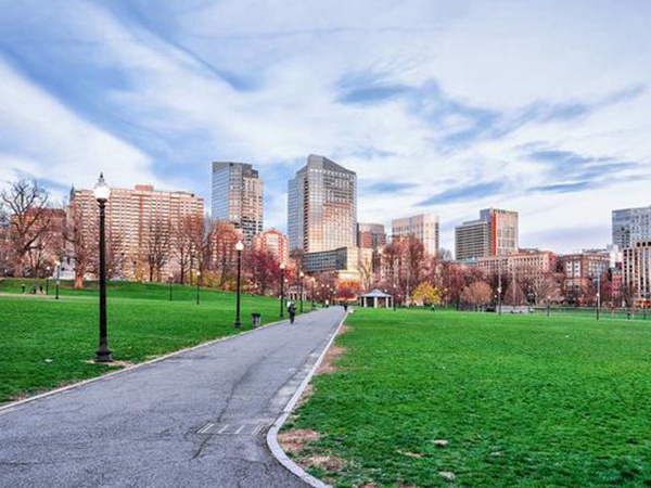 草坪生活中有很多，草坪的種類有哪些？