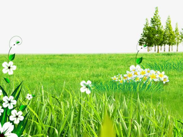 要想草坪養(yǎng)護(hù)好，需要注意這幾項(xiàng)