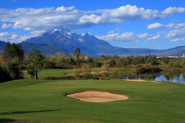 草坪綠化中的王者，護(hù)坡能力強大的的剪股穎草種