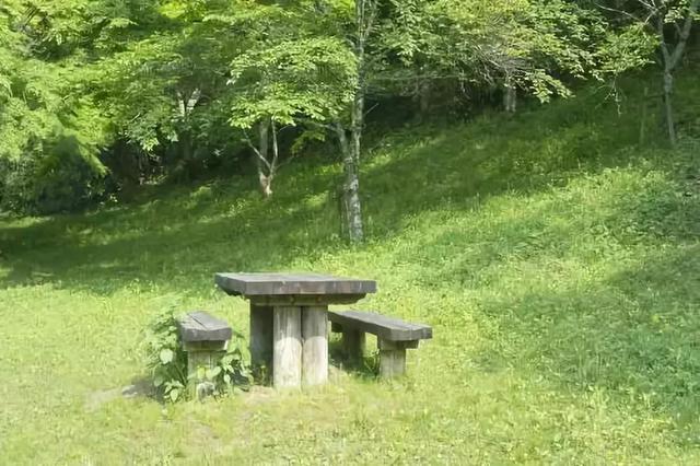 草坪有哪幾種分類你知道嗎？