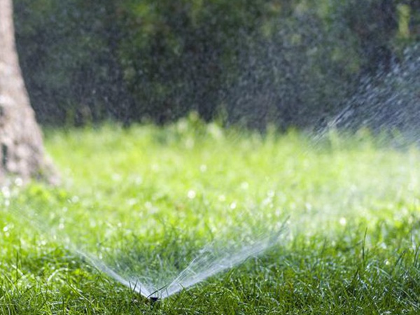 草坪生活中有很多，草坪的種類有哪些？