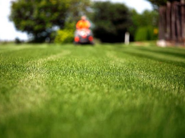 草坪生活中有很多，草坪的種類有哪些？