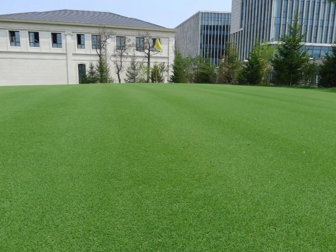 草坪如何才能美如畫(huà)，需要這幾個(gè)步驟