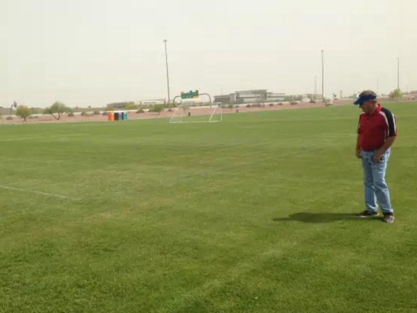 草坪型一年生黑麥草——突破（BREAKOUT WITH STT）