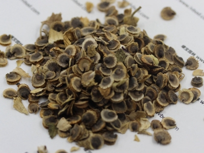 [蜀葵]蜀葵種子價格_圖片_播種方法