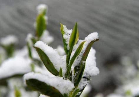 1626869361286220.jpg image.jpg