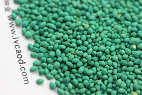 馬尼拉草坪多少錢一方 馬尼拉草坪多少錢一方