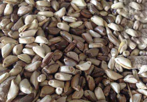 1627274780204059.jpg image.jpg