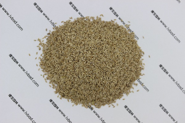 1627366591163161.jpg image.jpg