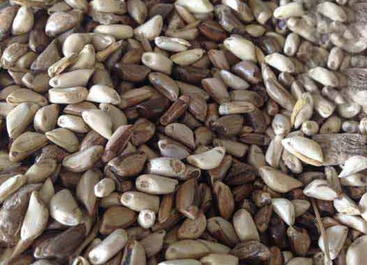 1627519877982676.jpg image.jpg