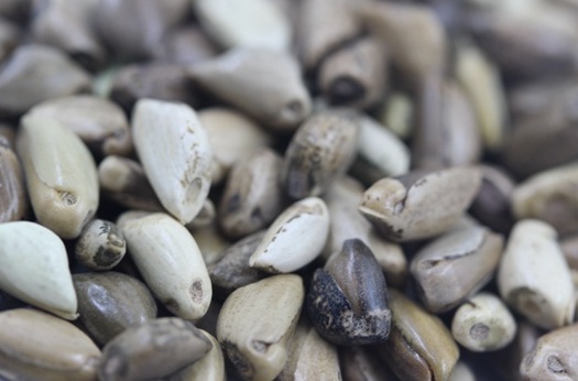 1627520256248161.jpg image.jpg