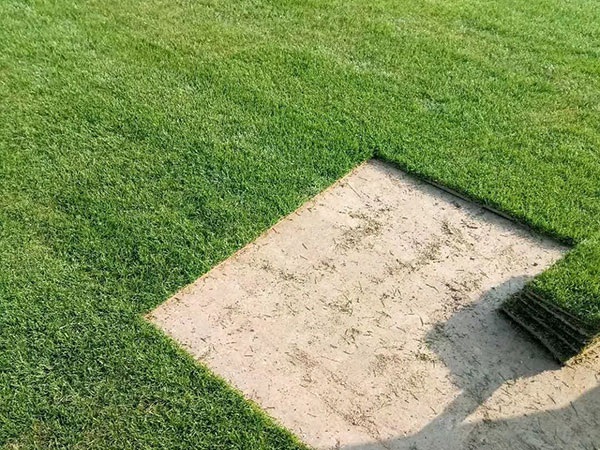 1627621288358825.jpg image.jpg