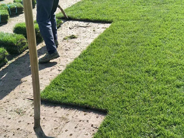 1627621295572769.jpg image.jpg