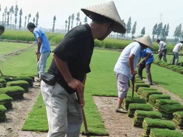 1627622534782525.jpg image.jpg