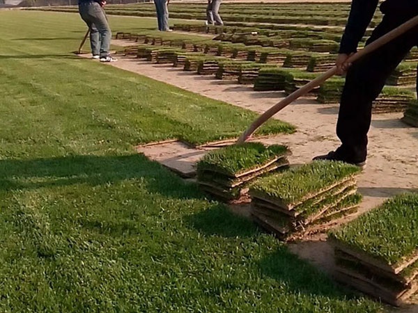 1627702657942084.jpg image.jpg