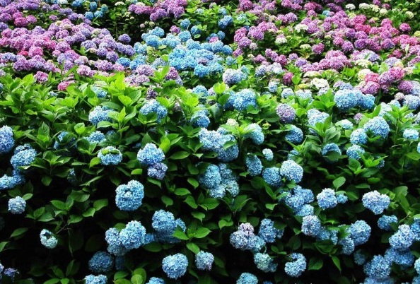 1628057460160105.jpg image.jpg