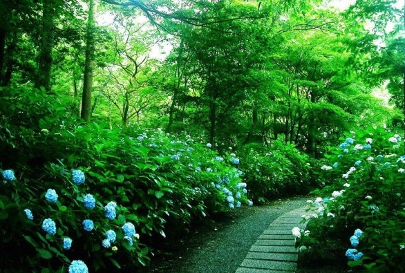 1628057468623087.jpg image.jpg