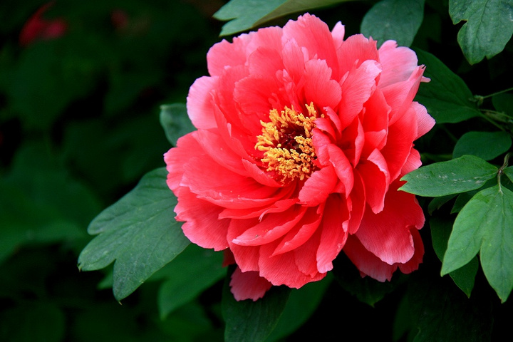 1628407714313067.jpg 1628407714313067.jpg