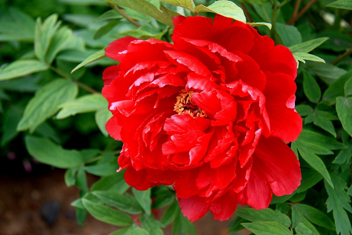 1628407762187024.jpg 1628407762187024.jpg