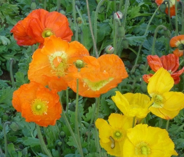 1628920746270684.jpg 1628920740(1).jpg