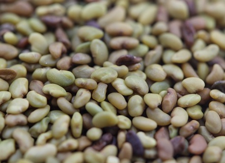 1629122232155582.jpg image.jpg