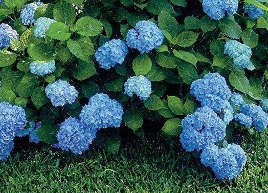 1629122875733845.jpg image.jpg