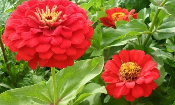 1629438700618826.jpg 1629438697(1).jpg