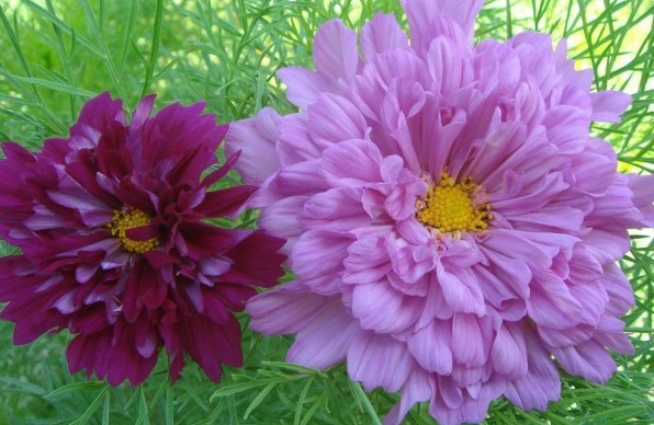 1629609856568978.jpg 8B4K0@TWM5P59MQ`KF@5A9Y.jpg