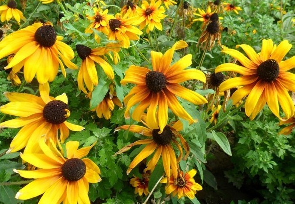 1629618357610129.jpg 52{T1}YYXG@{VA`BA0(%)EQ.jpg