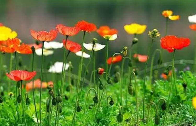 1629646437848769.jpg 又沒(méi)人沒(méi)人人民.jpg