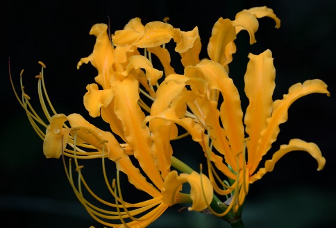 1629881009630048.jpg image.jpg