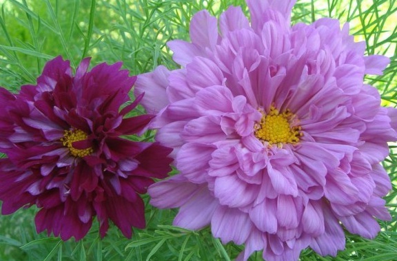 1629949193143235.jpg %[)%{$AJMU`6FJMI20$(AB8.jpg