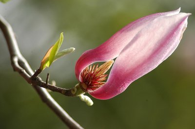 1629975933373683.jpg 1629975933373683.jpg