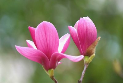 1629975993957341.jpg 1629975993957341.jpg