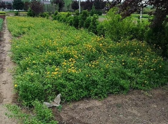 1630069239636713.jpg )JYZSGL1$YX0UYF[C$0Q[4S.jpg