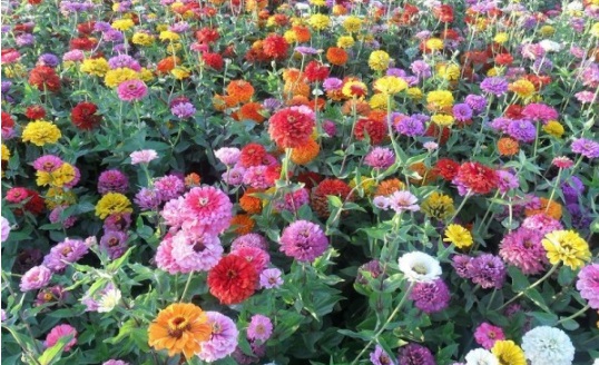 1630117399274054.jpg image.jpg