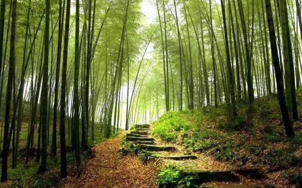 1630239446164487.jpg image.jpg