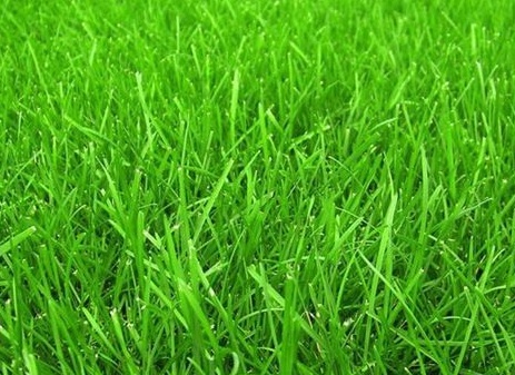 1630248134870431.jpg image.jpg