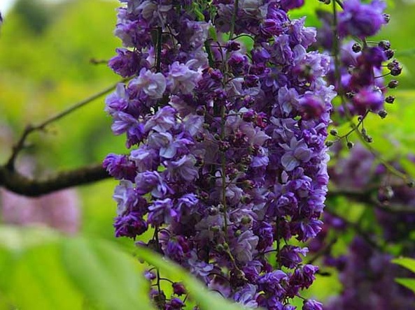 1630480197108276.jpg image.jpg