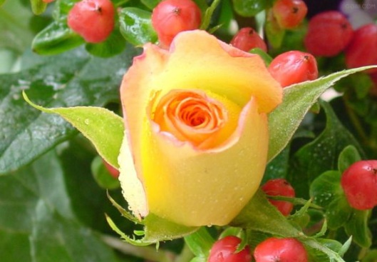 1630502937945793.jpg image.jpg