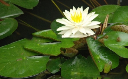 1630548618779257.jpg image.jpg